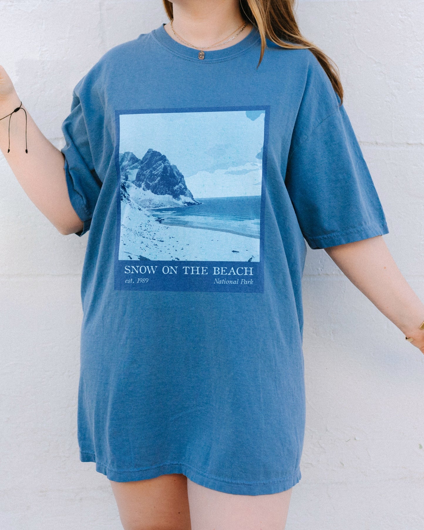 Snow National Park Tee